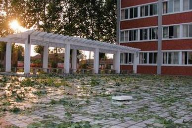 重庆知行卫生学校2023年春招招生简章