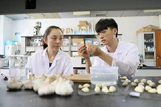 重庆卫生学校2022年招生方案
