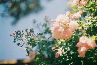 重庆医药卫生学校助产专业介绍(助产专业)