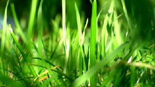 2024重庆医药高等专科学校有哪些专业重庆医药高等专科学校开设的专业一览表