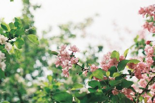 2023年重庆有哪些大专护理学校